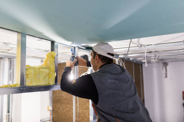 Best Energy-efficient Insulation  in Llano, TX