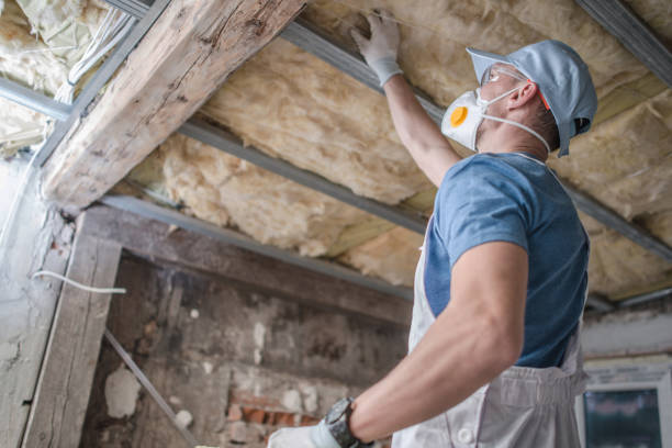 Best Commercial Insulation Contractor  in Llano, TX