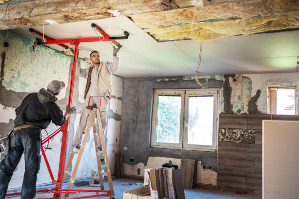 Best Attic Insulation Installation  in Llano, TX