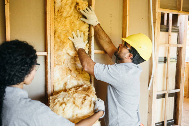 Best Fiberglass Insulation  in Llano, TX