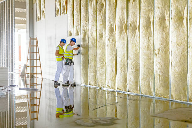 Best Insulation for New Construction  in Llano, TX